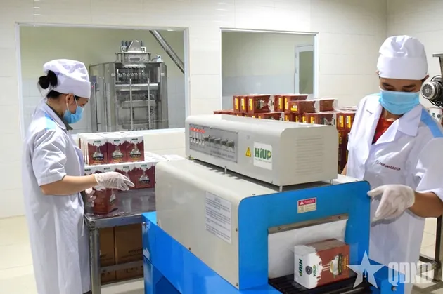 TP.HCM: Gỡ rào cản để thúc đẩy chuyển đổi xanh