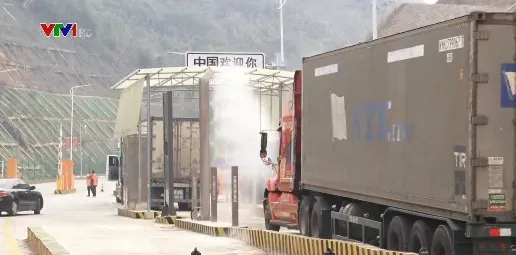 Lạng Sơn tăng tốc thông quan trái cây tươi xuất khẩu: Giải pháp chủ động trong mùa cao điểm
