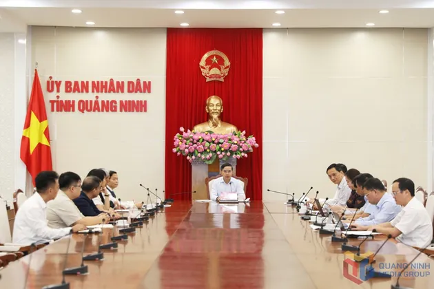Quảng Ninh: Nhà đầu tư muốn rót 5 tỷ USD xây dựng dự án năng lượng xanh