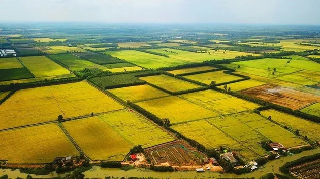 Đề xuất quy định hướng dẫn việc kéo dài thời hạn miễn thuế sử dụng đất nông nghiệp