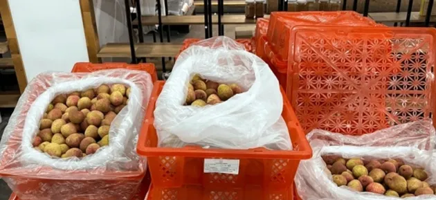 Doanh nghiệp xuất khẩu của Việt Nam cần làm gì để chinh phục thị trường Hoa Kỳ?
