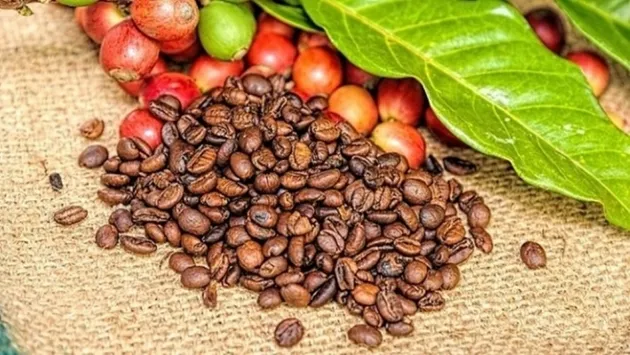 Bản tin nông sản hôm nay (22-7): Giá cà phê, hồ tiêu đi ngang; giá gạo bật tăng