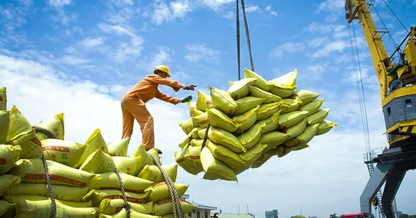 Doanh nghiệp gạo đối mặt khó khăn kép
