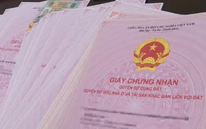 Xét duyệt điều kiện cấp Giấy chứng nhận quyền sử dụng đất