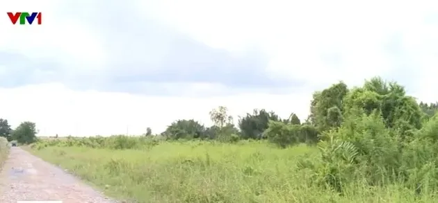 Người dân giảm gánh nặng tài chính khi chuyển đổi đất nông nghiệp