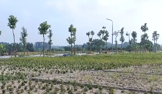 Hà Nội: Đẩy nhanh tiến độ hai dự án khu đô thị đa mục tiêu