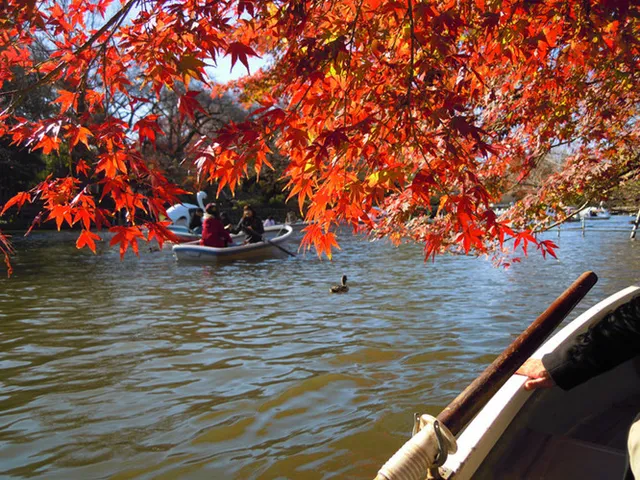 Cảnh sắc mùa thu với lá vàng, lá đỏ đẹp như tranh vẽ ở Tokyo - Ảnh 1.