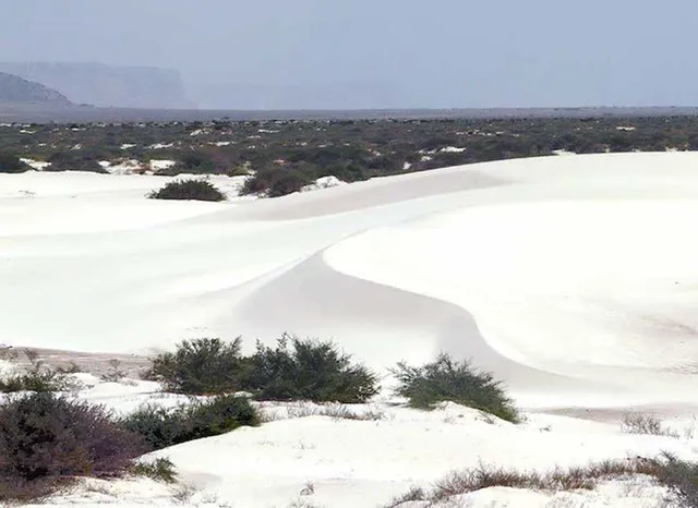 Khám phá Socotra - Hòn đảo được ví như hành tinh khác trên Trái đất - Ảnh 11.