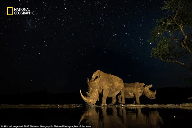 Thiên nhiên hoang dã đẹp mê hoặc trong ảnh của National Geographic - Ảnh 5.