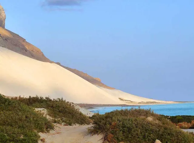 Khám phá Socotra - Hòn đảo được ví như hành tinh khác trên Trái đất - Ảnh 16.
