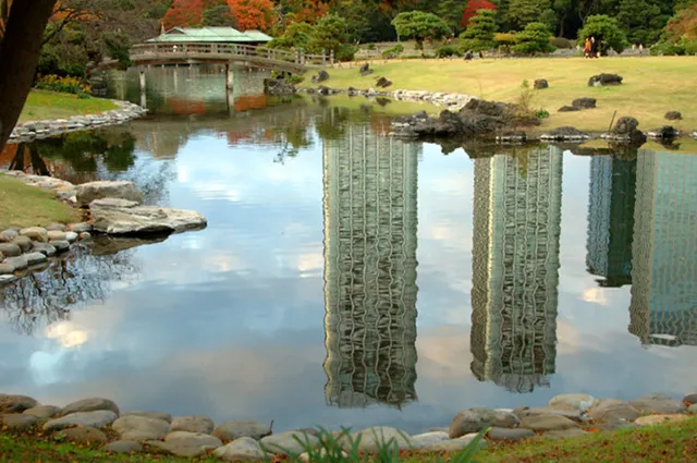 Cảnh sắc mùa thu với lá vàng, lá đỏ đẹp như tranh vẽ ở Tokyo - Ảnh 4.