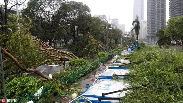 Ít nhất 7 người thiệt mạng do siêu bão Meranti tại tỉnh Phúc Kiến (Trung Quốc) - Ảnh 2.