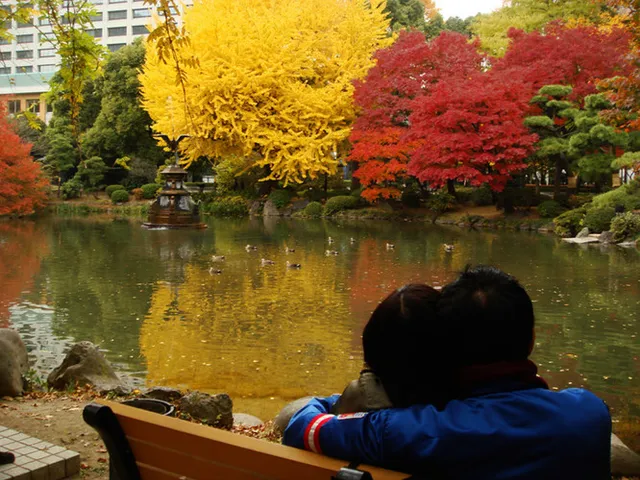 Cảnh sắc mùa thu với lá vàng, lá đỏ đẹp như tranh vẽ ở Tokyo - Ảnh 9.