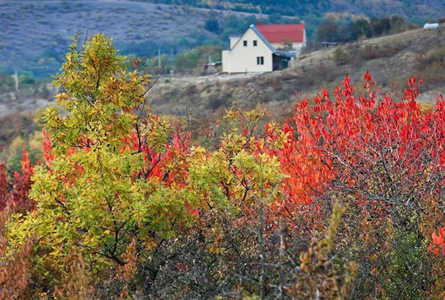 Ngắm khung cảnh mùa Thu đẹp như cổ tích ở Crimea - Ảnh 5.