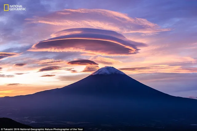 Thiên nhiên hoang dã đẹp mê hoặc trong ảnh của National Geographic - Ảnh 13.