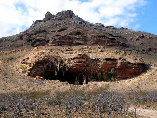 Khám phá Socotra - Hòn đảo được ví như hành tinh khác trên Trái đất - Ảnh 10.