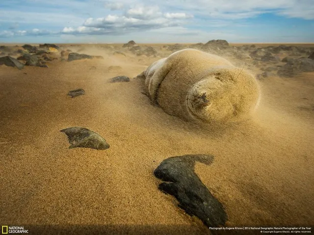 Tròn mắt ảnh thiên nhiên ấn tượng của National Geographic năm 2016 - Ảnh 15.