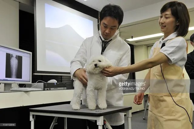 Bệnh viện dành cho thú cưng nở rộ tại Nhật Bản - Ảnh 4.