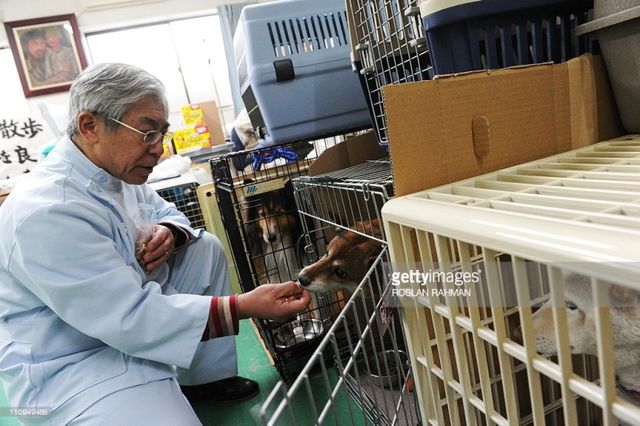 Bệnh viện dành cho thú cưng nở rộ tại Nhật Bản - Ảnh 3.