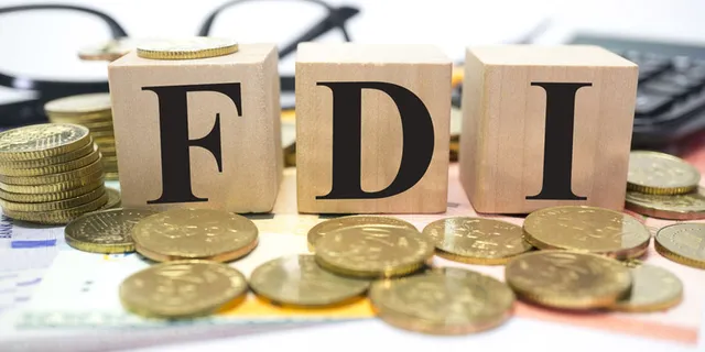 FDI vào Việt Nam vẫn ít “đại bàng” Mỹ, châu Âu - Ảnh 1.