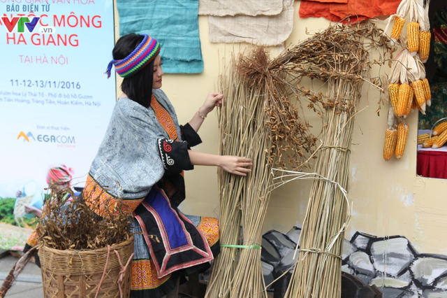 Thích thú ngắm hoa tam giác mạch Hà Giang giữa lòng Hà Nội - Ảnh 15.