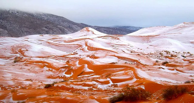 Chuyện thật khó tin: Tuyết rơi ở sa mạc Sahara - Ảnh 1.