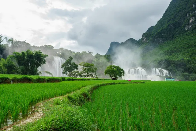 Thiên nhiên Việt Nam đẹp huyền ảo qua ống kính của 9x mê du lịch - Ảnh 3.