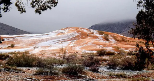 Chuyện thật khó tin: Tuyết rơi ở sa mạc Sahara - Ảnh 6.