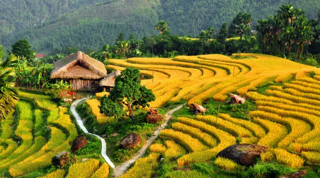 Ruộng bậc thang - Điểm đến hấp dẫn ở Hà Giang - Ảnh 5.