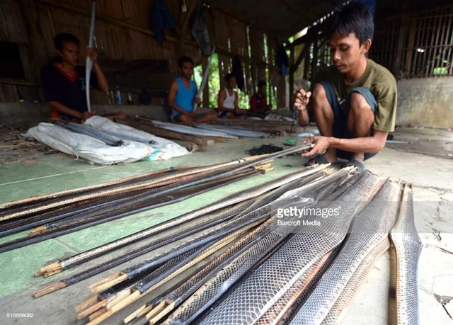 Góc khuất kinh hoàng của ngành công nghiệp thời trang da rắn tại Indonesia - Ảnh 2.