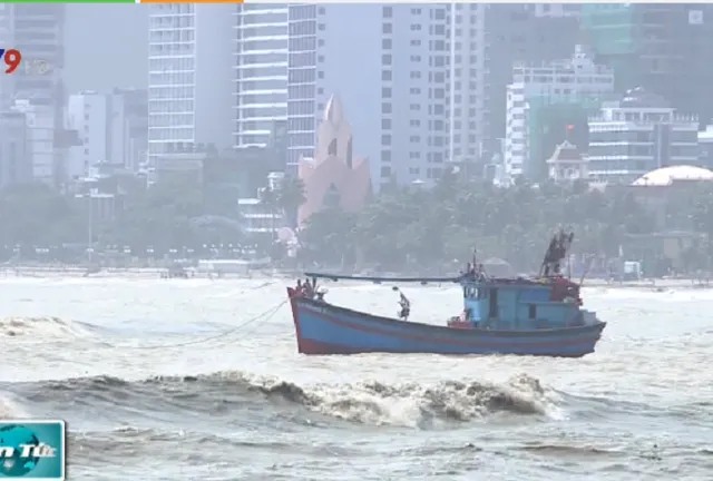 Khánh Hòa: Mưa khiến nhiều cây xanh ngã đổ, 1 tàu cá bị chìm - Ảnh 2.