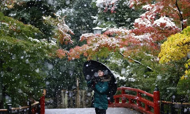 Tokyo đẹp huyền ảo trong những ngày mùa đông sớm - Ảnh 9.