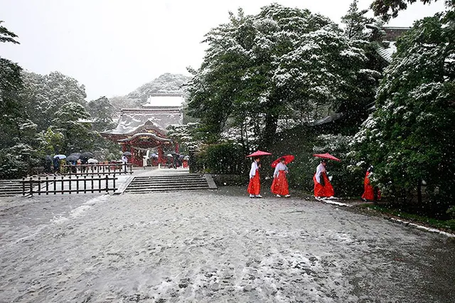 Tokyo đẹp huyền ảo trong những ngày mùa đông sớm - Ảnh 5.