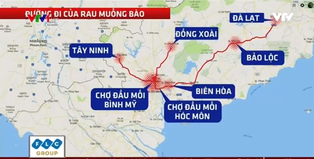 Thực khách vô tư ăn rau muống bào ngâm hóa chất độc hại - Ảnh 2.