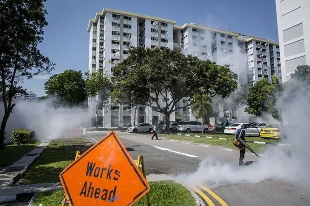 “80% người nhiễm virus Zika không có triệu chứng” - Ảnh 2.