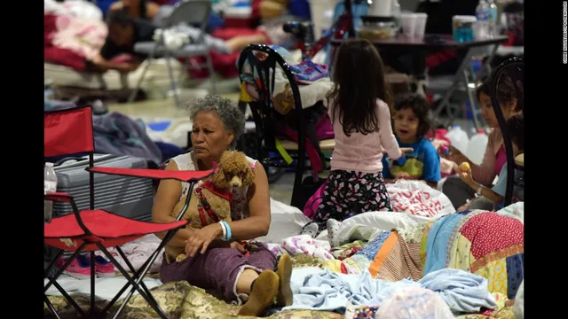 Siêu bão Irma trút cuồng nộ ở Florida, ít nhất 4 người thiệt mạng - Ảnh 12.