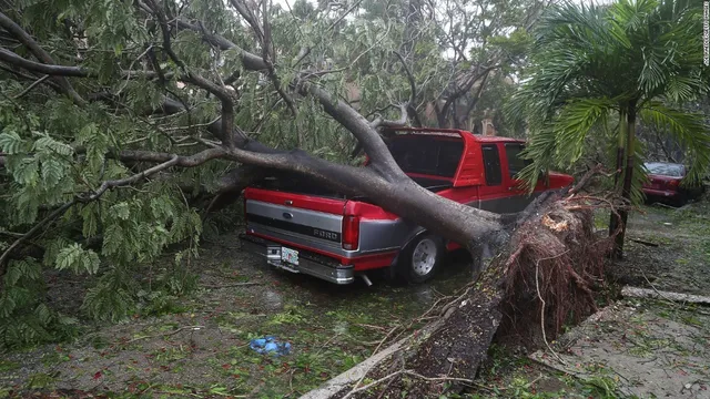 Siêu bão Irma trút cuồng nộ ở Florida, ít nhất 4 người thiệt mạng - Ảnh 8.