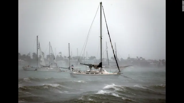 Siêu bão Irma trút cuồng nộ ở Florida, ít nhất 4 người thiệt mạng - Ảnh 6.