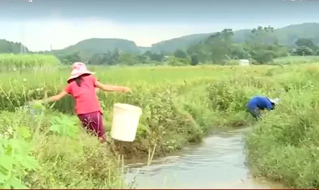 Ước mong tới trường của hai chị em cô học trò nghèo hiếu học - Ảnh 1.