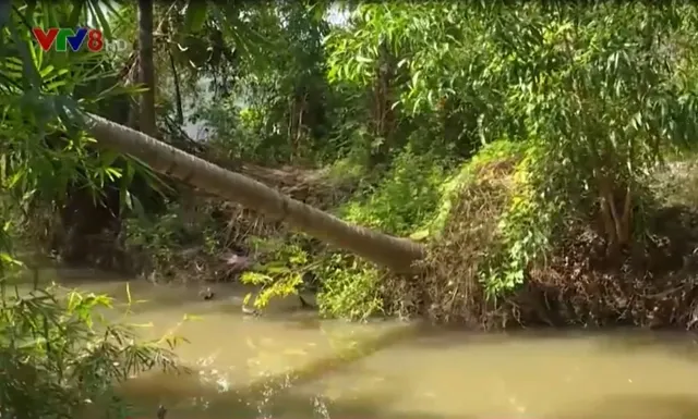 Mương thoát lũ bị bồi lấp, hàng ngàn hộ dân Khánh Hòa lo sợ khi mùa mưa cận kề - Ảnh 2.