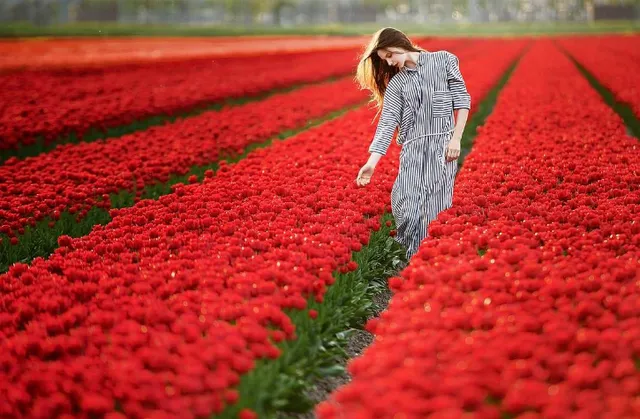 Người yêu hoa nhất định không thể bỏ qua những điểm du lịch này! - Ảnh 3.