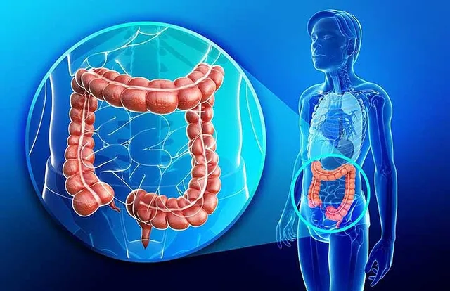 Bí quyết làm tăng cảm giác thèm ăn - Ảnh 5. Bí quyết làm tăng cảm giác thèm ăn - Ảnh 5.