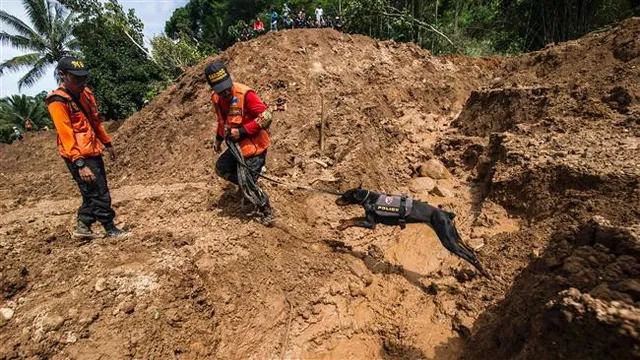 Indonesia: Lở đất trên sườn núi lửa, ít nhất 8 người thiệt mạng - Ảnh 3.