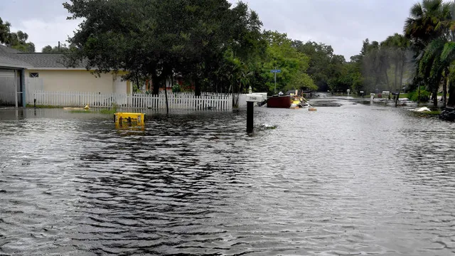 Siêu bão Irma trút cuồng nộ ở Florida, ít nhất 4 người thiệt mạng - Ảnh 17.