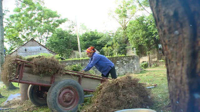 Nâng Cánh Ước Mơ số 39 (20h55, thứ tư, 27/9/2017) - Ảnh 4.