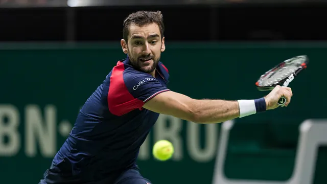 Tứ kết Rotterdam mở rộng 2017: Marin Cilic bất ngờ dừng bước - Ảnh 1.