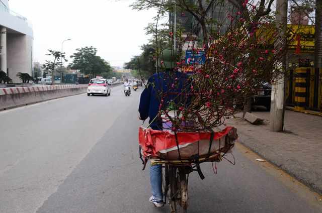 Người trồng đào thấp thỏm vì đào nở trước Tết - Ảnh 4.