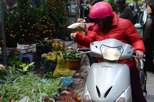 Chợ hoa Hoàng Hoa Thám rực rỡ ngày giáp Tết - Ảnh 21.