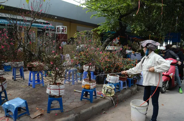 Chợ hoa Hoàng Hoa Thám rực rỡ ngày giáp Tết - Ảnh 5.