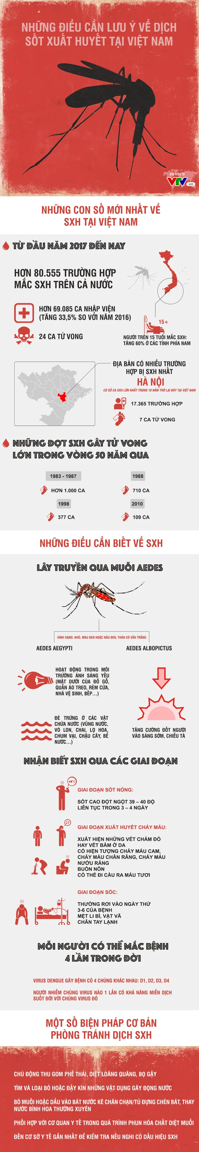 INFOGRAPHIC: Những điều cần lưu ý về dịch sốt xuất huyết tại Việt Nam - Ảnh 1.